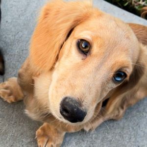 Meet your Posher, Ellie